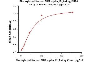 ELISA image for Signal-Regulatory Protein alpha (SIRPA) (AA 31-370) (Active) protein (Fc Tag,AVI tag,Biotin) (ABIN5526677)