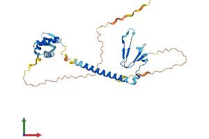 Protein Structure (PS) image for E2F Transcription Factor 6 (E2F6) (AA 1-272) protein (His tag) (ABIN7562444)
