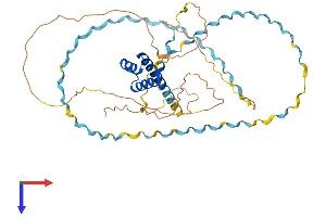 AlphaFold protein structure predicition of Human Recombinant ESX1 Protein, UniprotID Q8N693 (ESX Homeobox 1 Protein (ESX1) (AA 1-406) (His tag))