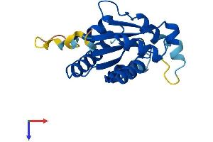 AlphaFold protein structure predicition of Mouse Recombinant Idnk Protein, UniprotID Q8R0J8 (IdnK Protein (AA 1-184) (His tag))