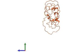 AlphaFold protein structure predicition of Human Recombinant KRTAP5-9 Protein, UniprotID P26371 (KRTAP5-3 Protein (AA 1-169) (His tag))