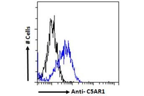 C5AR1 antibody  (C-Term)
