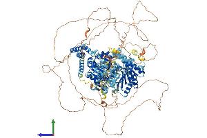 AlphaFold protein structure predicition of Mouse Recombinant Ercc6l Protein, UniprotID Q8BHK9