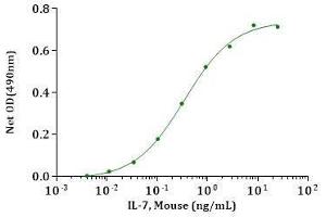 IL-7,His, Mouse stimulates cell proliferation assay using 2E8 cells.