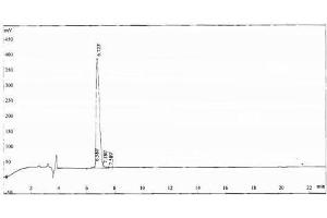 Image no. 1 for Endorphin beta (beta-EP) peptide (Ovalbumin) (ABIN5666096) (Endorphin beta (beta-EP) peptide (Ovalbumin))