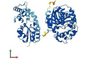 Protein Structure (PS) image for Epoxide Hydrolase 2, Cytoplasmic (EPHX2) (AA 1-555) protein (His tag) (ABIN7554137)