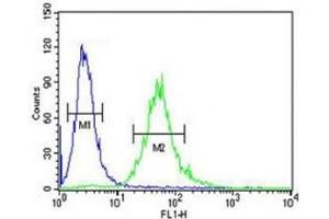 CEA antibody flow cytometric analysis of 293 cells (right histogram) compared to a negative control (left histogram).