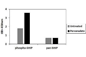 INPP5D ELISA Kit