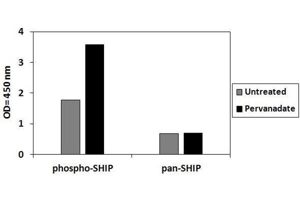 INPP5D ELISA Kit