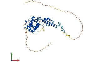 AlphaFold protein structure predicition of Human Recombinant SPATA4 Protein, UniprotID Q8NEY3 (SPATA4 Protein (AA 1-305) (His tag))