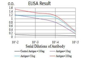 Black line: Control Antigen (100 ng),Purple line: Antigen (10 ng), Blue line: Antigen (50 ng), Red line:Antigen (100 ng) (PRDM14 antibody  (AA 4-203))