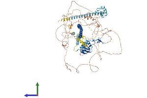 AlphaFold protein structure predicition of Human Recombinant PPP1R9A Protein, UniprotID Q9ULJ8 (PPP1R9A Protein (AA 1-1098) (His tag))