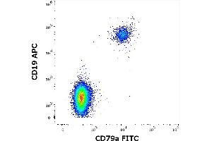 Flow cytometry multicolor intracellular staining pattern of human lymphocytes using anti-human CD79a (HM47) FITC antibody (4 μL reagent / 100 μL of peripheral whole blood) and anti-human CD19 (LT19) APC antibody (10 μL reagent / 100 μL of peripheral whole blood). (CD79a antibody  (AA 208-222) (FITC))