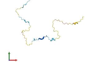 AlphaFold protein structure predicition of Human Recombinant PCLAF Protein, UniprotID Q15004 (KIAA0101 Protein (AA 1-111) (His tag))