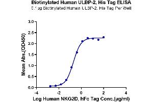 Immobilized Biotinylated Human ULBP-2, His Tag at 1 μg/mL (100 μL/well) on the streptavidin precoated plate (5 μg/mL).