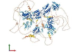 AlphaFold protein structure predicition of Human Recombinant TOPBP1 Protein, UniprotID Q92547 (TOPBP1 Protein (AA 1-1522) (His tag))