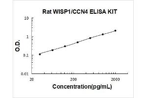 WNT1 Inducible Signaling Pathway Protein 1 (WISP1) ELISA Kit