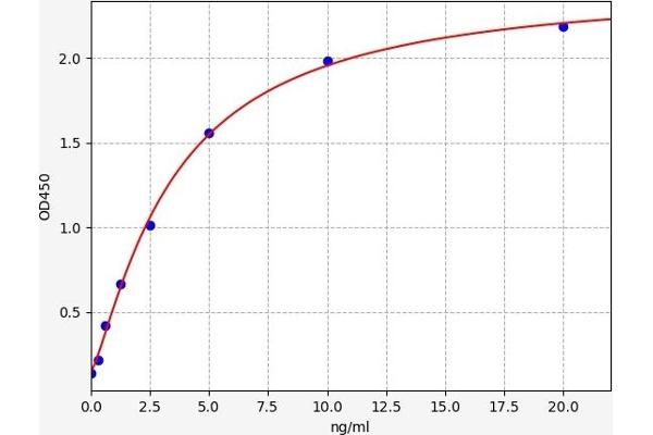 CDK5 ELISA Kit