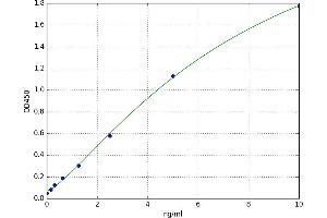 Chitotriosidase (CHIT1) ELISA Kit