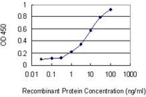 Detection limit for recombinant GST tagged PCGF5 is 0. (PCGF5 antibody  (AA 51-148))