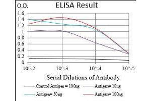 Black line: Control Antigen (100 ng), Purple line: Antigen(10 ng), Blue line: Antigen (50 ng), Red line: Antigen (100 ng), (EIF2A antibody  (AA 448-576))