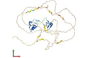Protein Structure (PS) image for GATA Binding Protein 3 (GATA3) (AA 1-443) protein (His tag) (ABIN7547863)
