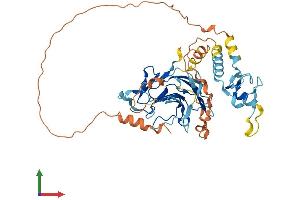 AlphaFold protein structure predicition of Human Recombinant RNF39 Protein, UniprotID Q9H2S5