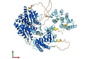 AlphaFold protein structure predicition of Mouse Recombinant Ifih1 Protein, UniprotID Q8R5F7