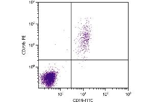 Human peripheral blood lymphocytes were stained with Mouse Anti-Human CD79b-PE. (CD79b antibody  (PE))