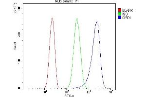 Flow Cytometry analysis of PC-3 cells using anti-MitoNEET/CISD1 antibody (ABIN7601089). (CISD1 antibody  (AA 28-93))