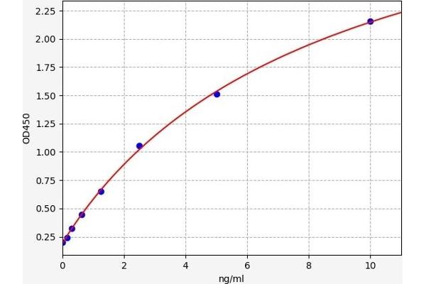 MAN1A1 ELISA Kit