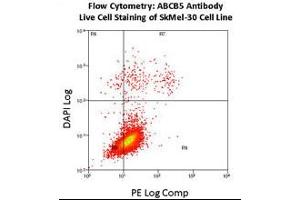 Flow Cytometry using ABCB5 Antibody (N-Term) Cat (ABIN390068 and ABIN2840592) on SkMel-30 cell line.