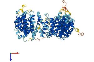 BAAT1 Protein (AA 1-822) (His tag)