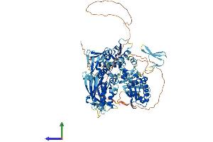 AlphaFold protein structure predicition of Human Recombinant WWP2 Protein, UniprotID O00308 (WWP2 Protein (AA 1-870) (His tag))