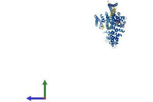 AlphaFold protein structure predicition of Mouse Recombinant Cip2a Protein, UniprotID Q8BWY9