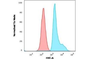 Flow Cytometric Analysis of paraformaldehyde-fixed Raji cells. (RPSA/Laminin Receptor antibody)