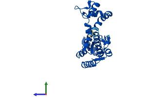 Protein Structure (PS) image for dephospho-CoA Kinase Domain Containing (DCAKD) (AA 1-231) protein (His tag) (ABIN7558626)