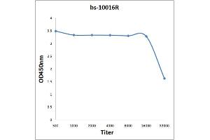 Antigen: 0. (MORC2 antibody  (pSer739))