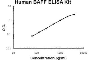Human BAFF Accusignal ELISA Kit Human BAFF AccuSignal ELISA Kit standard curve.