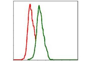 Image no. 6 for anti-Integrin beta 1 (ITGB1) antibody (ABIN1498894) (ITGB1 antibody)