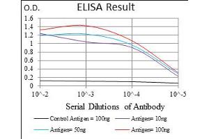 Fig. (ADRP antibody  (AA 286-437))