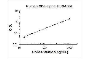 CD8a Molecule (CD8A) ELISA Kit