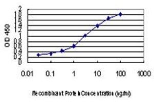 Detection limit for recombinant GST tagged RNPC2 is approximately 0. (RBM39 antibody  (AA 423-472))