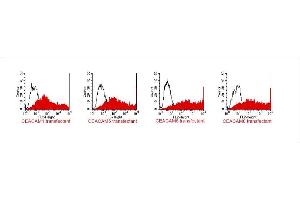 FACS analysis of BOSC23 cells using TET2. (CEACAM 1,5,6,8 antibody)