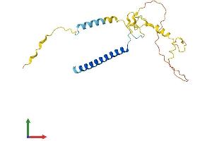 AlphaFold protein structure predicition of Human Recombinant MBD3L5 Protein, UniprotID A6NJ08 (MBD3L5 Protein (AA 1-208) (His tag))