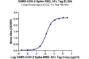 Immobilized Cynomolgus ACE2, His Tag at 2 μg/mL (100 μL/well) on the plate. (SARS-CoV-2 Spike Protein (RBD) (Fc Tag))