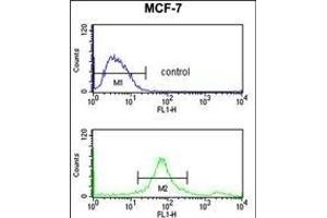 SUMO1 Antibody f flow cytometry analysis of MCF-7 cells (bottom histogram) compared to a negative control cell (top histogram).