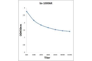 Antigen: 2 µg/100 µL  Primary: Antiserum, 1:500, 1:1000, 1:2000, 1:4000, 1:8000, 1:16000, 1:32000;  Secondary: HRP conjugated Rabbit Anti-Goat IgG at 1: 5000;  TMB staining Read the data in Microplate Reader by 450nm. (CTLA4 antibody  (AA 75-170))