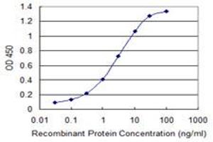 Detection limit for recombinant GST tagged ZDHHC13 is 0. (ZDHHC13 antibody  (AA 181-280))