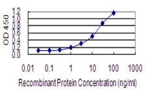 Detection limit for recombinant GST tagged IGKV1OR2-108 is 0. (IGKV1OR2-108 antibody  (AA 1-95))